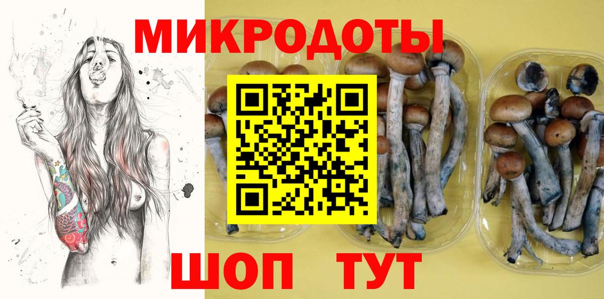 Москва  Псилоцибиновые грибы MAGIC MUSHROOMS  цены   Вход с VPN  Галлюциногенные грибы мицелий 