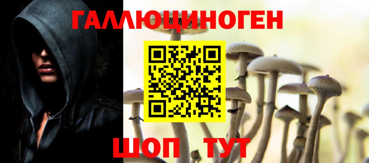Галлюциногенные грибы Cubensis Москва